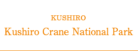 Kushiro Crane National Park